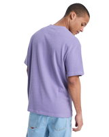 The Quiksilver Mens Bayi T-Shirt in Daybreak