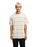 The Quiksilver Mens Birdwood Jacquard T-Shirt in Peyote Heritage Stripe Jacquard