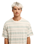 The Quiksilver Mens Birdwood Jacquard T-Shirt in Peyote Heritage Stripe Jacquard