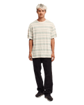 The Quiksilver Mens Birdwood Jacquard T-Shirt in Peyote Heritage Stripe Jacquard