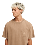 The Quiksilver Mens Guana Washed T-Shirt in Pine Bark