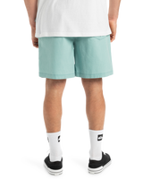 The Quiksilver Mens Taxer Walkshorts in Aquifer