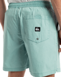 The Quiksilver Mens Taxer Walkshorts in Aquifer