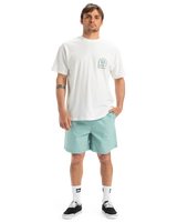 The Quiksilver Mens Taxer Walkshorts in Aquifer