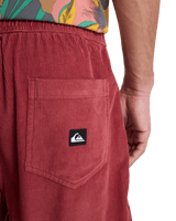 Taxer Cord Walkshorts in Burnt Russet