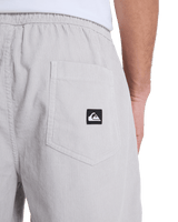 Taxer Cord Walkshorts in Micro Chip