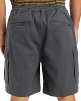The Quiksilver Mens Taxer Cargo Walkshorts in Iron Gate