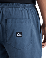 Taxer Walkshorts in Dark Navy