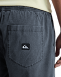 Taxer Walkshorts in Black