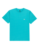 The Quiksilver Mens Basic T-Shirt in Aqua
