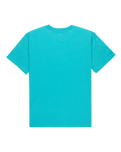 The Quiksilver Mens Basic T-Shirt in Aqua