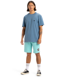 The Quiksilver Mens Basic T-Shirt in Coronet Blue