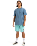 The Quiksilver Mens Basic T-Shirt in Coronet Blue