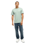 The Quiksilver Mens Basic T-Shirt in Iceberg Green