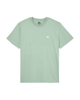 The Quiksilver Mens Basic T-Shirt in Iceberg Green