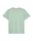 The Quiksilver Mens Basic T-Shirt in Iceberg Green