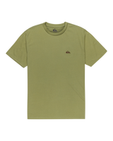 The Quiksilver Mens Basic T-Shirt in Loden Green