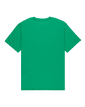 The Quiksilver Mens Basic T-Shirt in Leprechaun