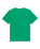 The Quiksilver Mens Basic T-Shirt in Leprechaun