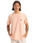The Quiksilver Mens Basic T-Shirt in Peach Parfait