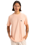 The Quiksilver Mens Basic T-Shirt in Peach Parfait