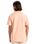 The Quiksilver Mens Basic T-Shirt in Peach Parfait