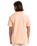 The Quiksilver Mens Basic T-Shirt in Peach Parfait