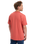 The Quiksilver Mens Basic T-Shirt in Mineral Red