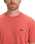 The Quiksilver Mens Basic T-Shirt in Mineral Red