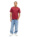 The Quiksilver Mens Basic T-Shirt in Oxblood Red