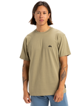The Quiksilver Mens Basic T-Shirt in Aloe