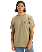 The Quiksilver Mens Basic T-Shirt in Aloe