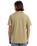 The Quiksilver Mens Basic T-Shirt in Aloe