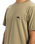 The Quiksilver Mens Basic T-Shirt in Aloe