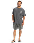 The Quiksilver Mens Freedom Swell T-Shirt in Iron Gate