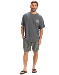 The Quiksilver Mens Freedom Swell T-Shirt in Iron Gate