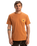 The Quiksilver Mens EVO Roads End T-Shirt in Bran