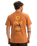 The Quiksilver Mens EVO Roads End T-Shirt in Bran
