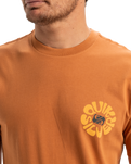 The Quiksilver Mens EVO Roads End T-Shirt in Bran