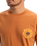 The Quiksilver Mens EVO Roads End T-Shirt in Bran