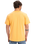 The Quiksilver Mens EV Mini Logo T-Shirt in Chamois