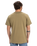 The Quiksilver Mens EV Sun Dagger T-Shirt in Aloe