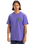 The Quiksilver Mens Circle Back T-Shirt in Dusted Peri