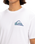 The Quiksilver Mens Window Pane T-Shirt in White