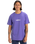 The Quiksilver Mens Fineline T-Shirt in Dusted Peri