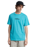 The Quiksilver Mens Fineline T-Shirt in Aqua