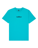 The Quiksilver Mens Fineline T-Shirt in Aqua