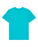 The Quiksilver Mens Fineline T-Shirt in Aqua