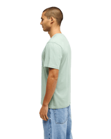 The Quiksilver Mens Fineline T-Shirt in Iceberg Green