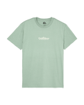 The Quiksilver Mens Fineline T-Shirt in Iceberg Green